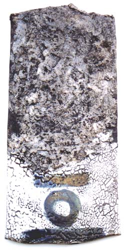 domi.jpg (40706 Byte)